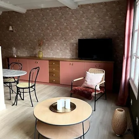 شقة Duplex 50m2 Renove, Hyper-centre, St Sauveur *